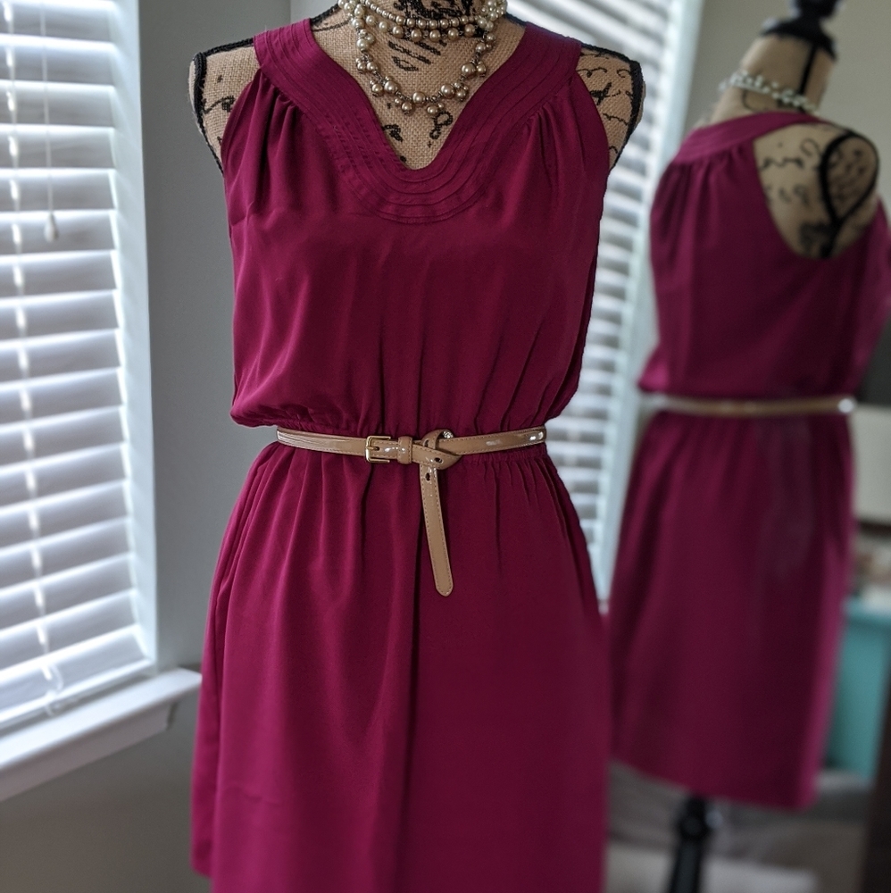 Size 6P Ann Taylor dress